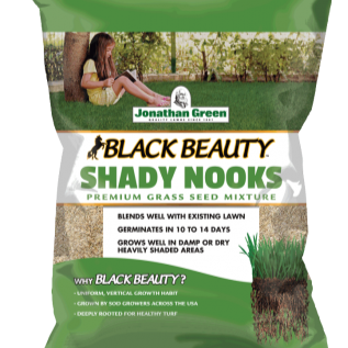 Black Beauty Shady Nooks Grass Seed by Jonathan Green