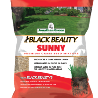 Black Beauty Sunny Grass Seed by Jonathan Green