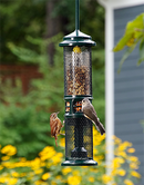 Squirrel Buster Nut Bird Feeder