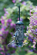 Squirrel Buster Mini Bird Feeder