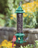 Squirrel Buster Plus Bird Feeder