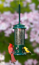 Squirrel Buster Standard Bird Feeder